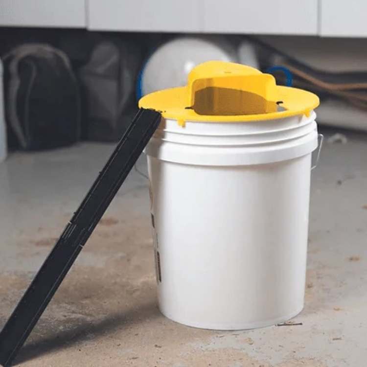 Automatic Multi-Catch Mouse Trap with Tilting Mechanism