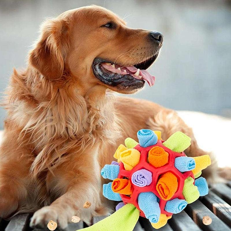 FidoQuest | Interaktives Hundespielzeug – Schnüffelspaß