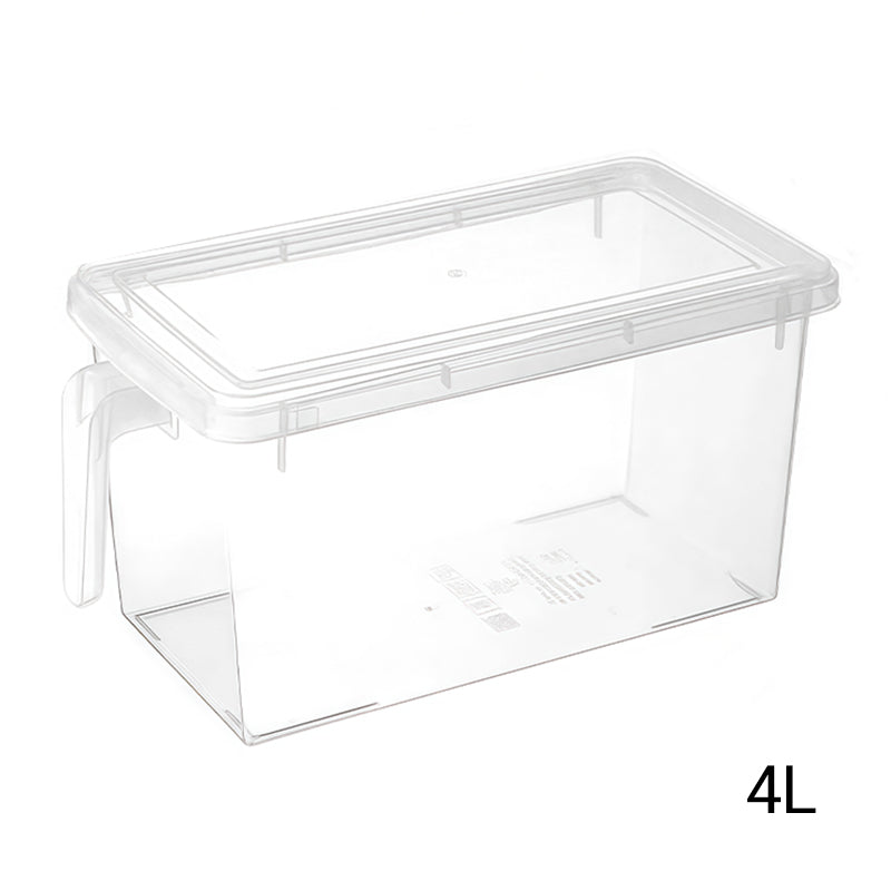 Transparent storage container with practical lid