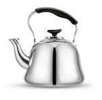 Elegant Stainless Steel Stovetop Kettle | AromaPlus