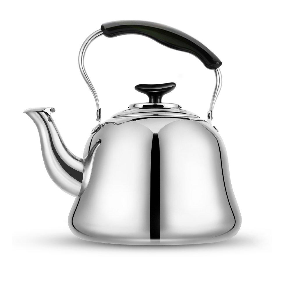 Elegant Stainless Steel Stovetop Kettle | AromaPlus