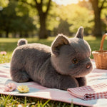 KuschelBulli – Das weiche Bulldog Plüschtier für große Freude