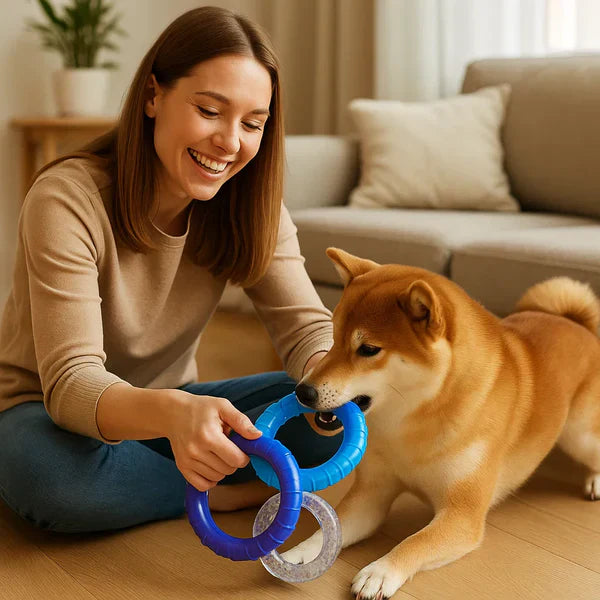 Robustes 3-Ring-Kauspielzeug für Hunde – langlebig und sicher
