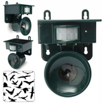 Solar-powered, weather-resistant bird repellent system with PIR sensor