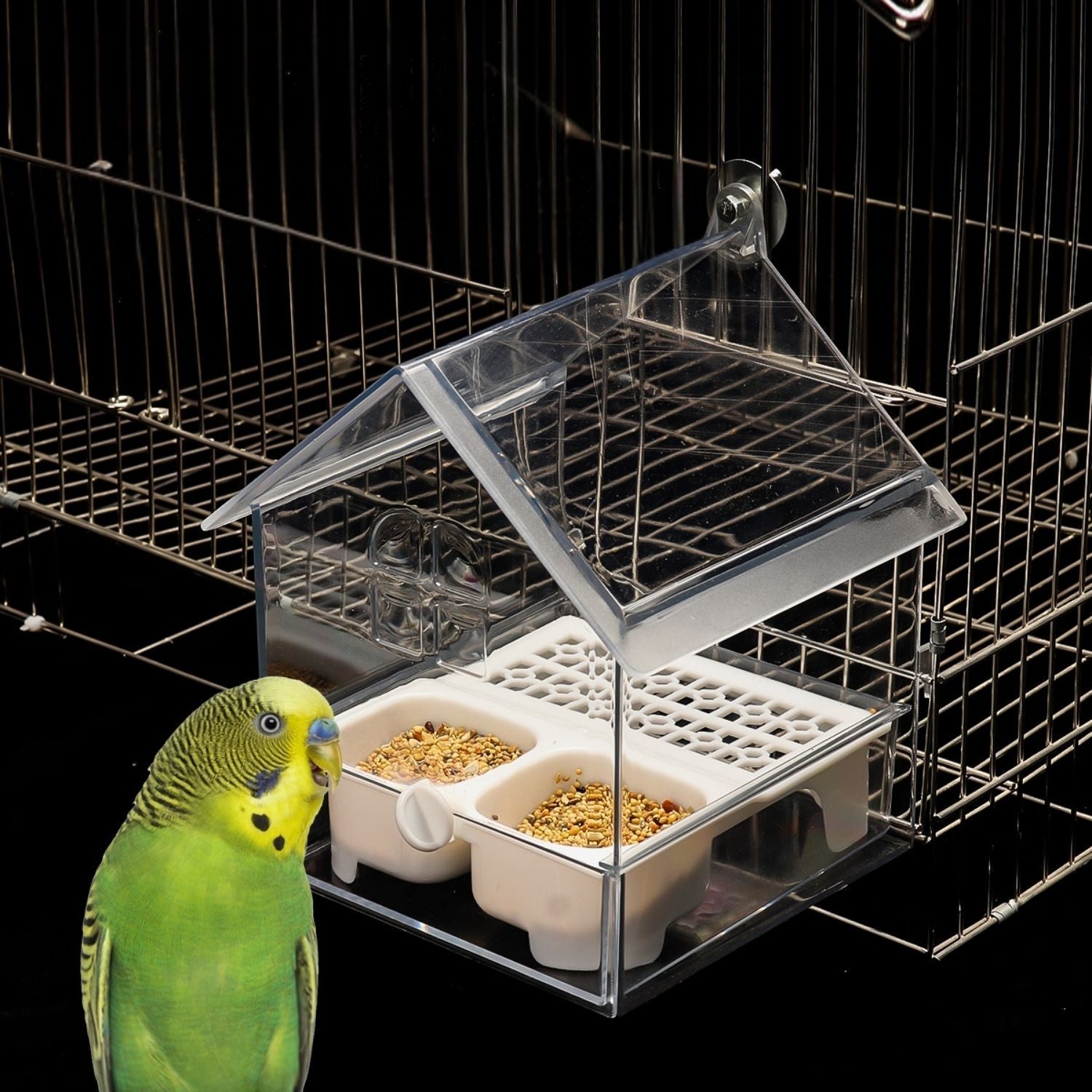 Bird Feeder and Bath – Space-Saving, Spill-Free Solution