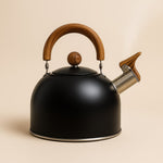 Elegant stainless steel kettle in a retro design
