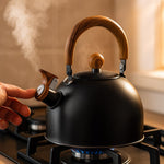 Elegant stainless steel kettle in a retro design
