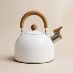 Elegant stainless steel kettle in a retro design