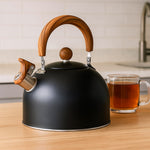 Elegant stainless steel kettle in a retro design