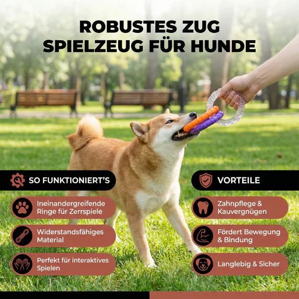 Robustes Kau Spielzeug für Hunde mit 3 Ringen, zahnfreundlich