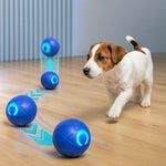WuffBall: Interactive Dog Toy for Endless Fun