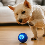 WuffBall: Interactive Dog Toy for Endless Fun