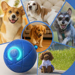 WuffBall: Interactive Dog Toy for Endless Fun