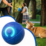 WuffBall: Interactive Dog Toy for Endless Fun