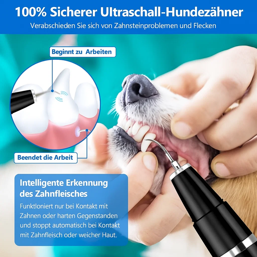 Gentle Tartar Remover for Dogs and Cats - PlaqueFree